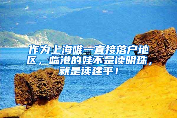 作为上海唯一直接落户地区，临港的娃不是读明珠，就是读建平！