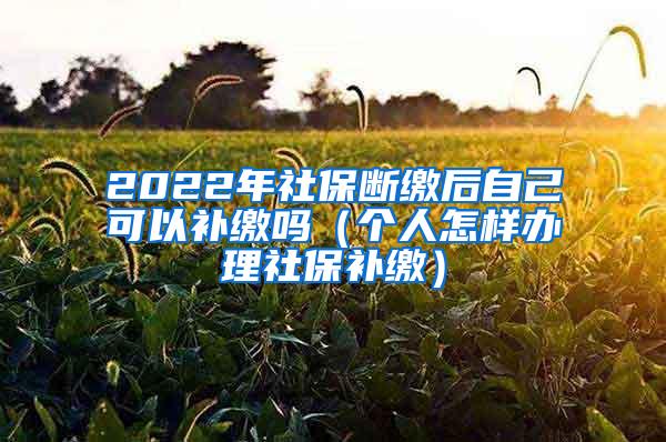 2022年社保断缴后自己可以补缴吗（个人怎样办理社保补缴）