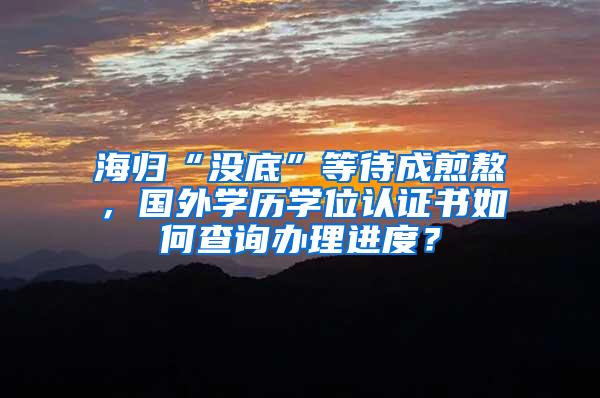 海归“没底”等待成煎熬，国外学历学位认证书如何查询办理进度？