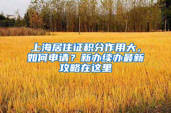 上海居住证积分作用大，如何申请？新办续办最新攻略在这里