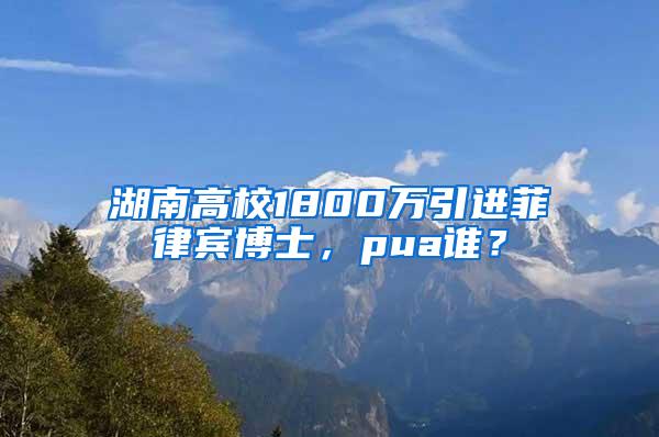 湖南高校1800万引进菲律宾博士，pua谁？