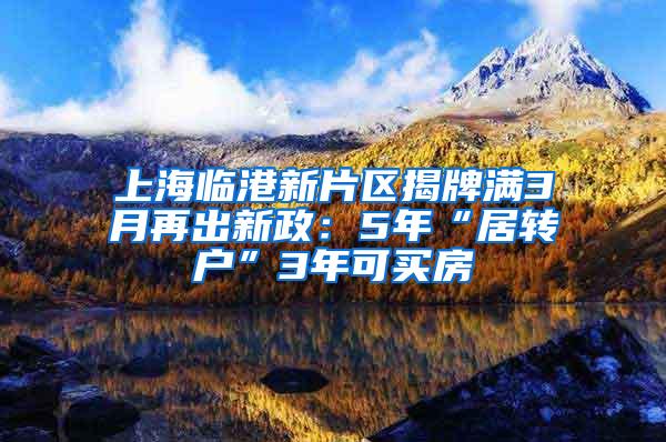 上海临港新片区揭牌满3月再出新政：5年“居转户”3年可买房