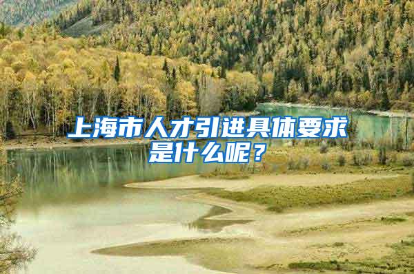 上海市人才引进具体要求是什么呢？