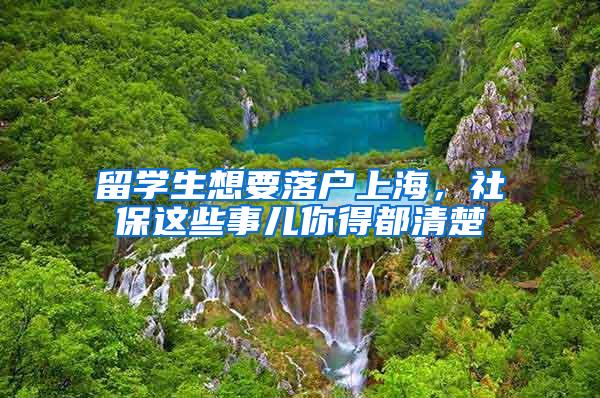 留学生想要落户上海，社保这些事儿你得都清楚