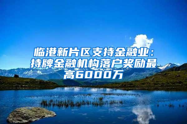 临港新片区支持金融业：持牌金融机构落户奖励最高6000万