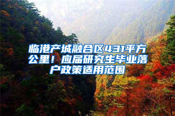 临港产城融合区431平方公里!应届研究生毕业落户政策适用范围