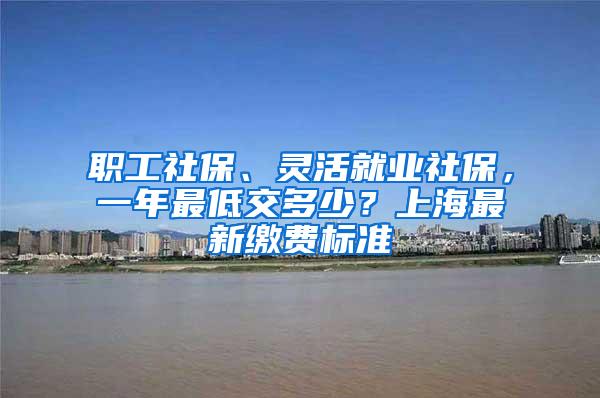 职工社保、灵活就业社保,一年最低交多少?上海最新缴费标准