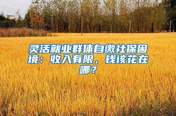 灵活就业群体自缴社保困境：收入有限，钱该花在哪？