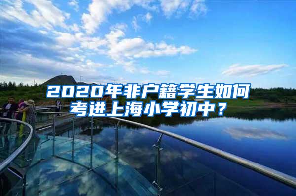 2020年非户籍学生如何考进上海小学初中？