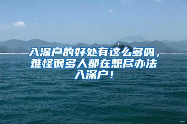 入深户的好处有这么多吗，难怪很多人都在想尽办法入深户！