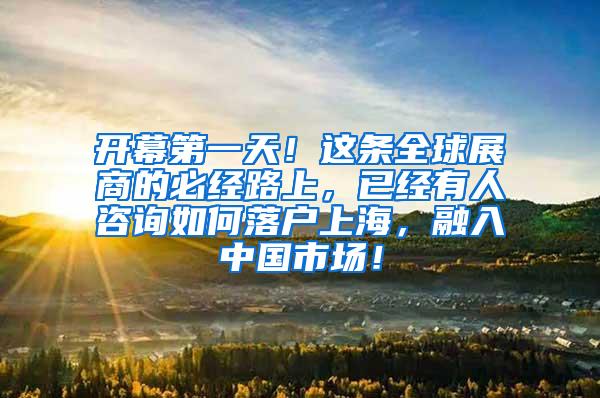 开幕第一天！这条全球展商的必经路上，已经有人咨询如何落户上海，融入中国市场！