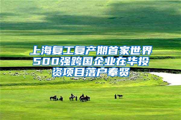 上海复工复产期首家世界500强跨国企业在华投资项目落户奉贤