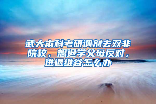 武大本科考研调剂去双非院校，想退学父母反对，进退维谷怎么办