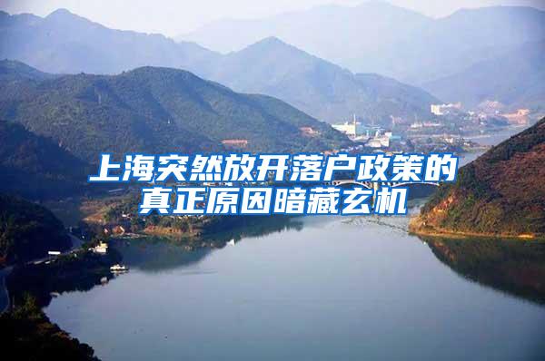 上海突然放开落户政策的真正原因暗藏玄机