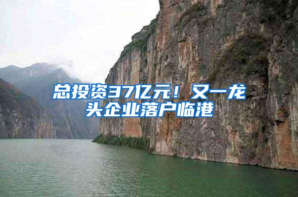 总投资37亿元！又一龙头企业落户临港