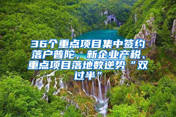 36个重点项目集中签约落户普陀，新企业产税、重点项目落地数逆势“双过半”