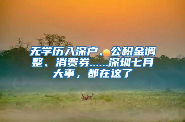 无学历入深户、公积金调整、消费券......深圳七月大事，都在这了