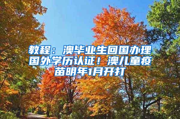 教程：澳毕业生回国办理国外学历认证！澳儿童疫苗明年1月开打
