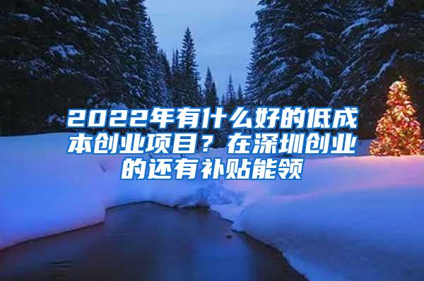 2022年有什么好的低成本创业项目？在深圳创业的还有补贴能领