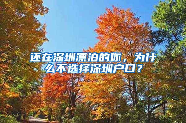 还在深圳漂泊的你，为什么不选择深圳户口？