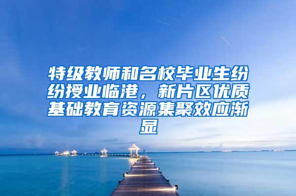 特级教师和名校毕业生纷纷授业临港，新片区优质基础教育资源集聚效应渐显