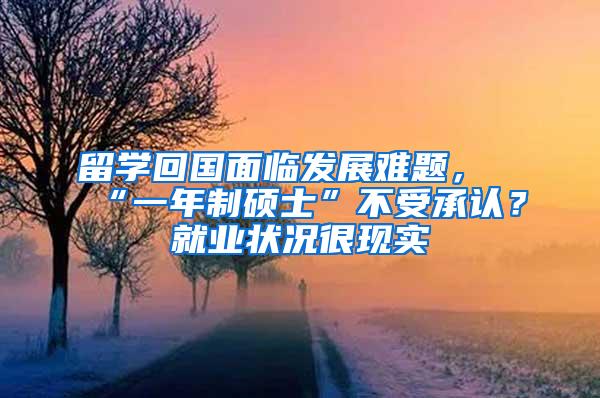 留学回国面临发展难题，“一年制硕士”不受承认？就业状况很现实