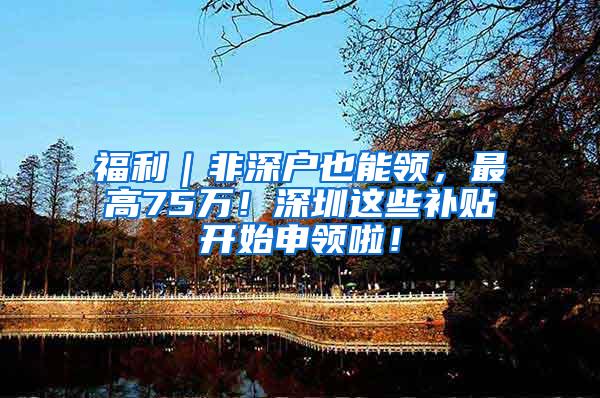 福利｜非深户也能领，最高75万！深圳这些补贴开始申领啦！