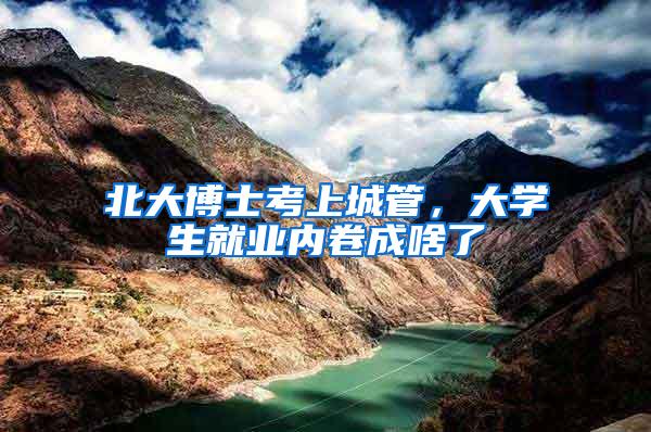 北大博士考上城管，大学生就业内卷成啥了