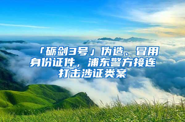 「砺剑3号」伪造、冒用身份证件，浦东警方接连打击涉证类案