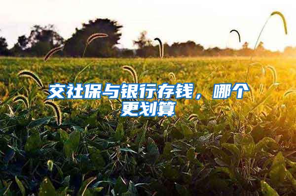 交社保与银行存钱，哪个更划算