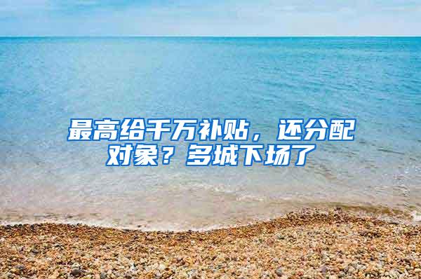 最高给千万补贴，还分配对象？多城下场了