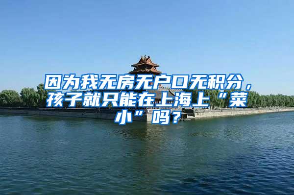 因为我无房无户口无积分，孩子就只能在上海上“菜小”吗？