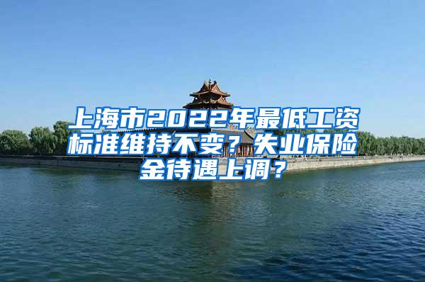 上海市2022年最低工资标准维持不变？失业保险金待遇上调？