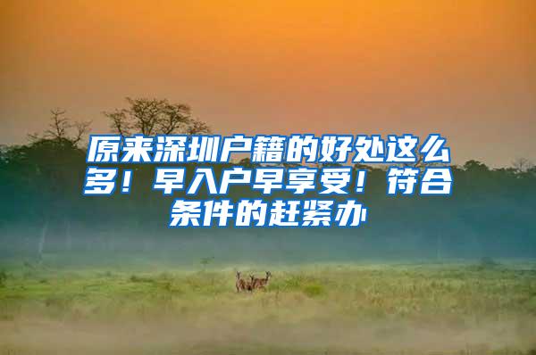 原来深圳户籍的好处这么多！早入户早享受！符合条件的赶紧办