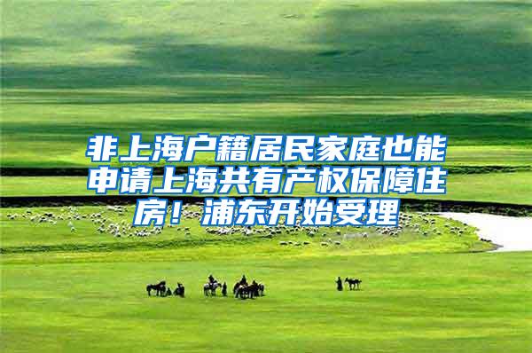 非上海户籍居民家庭也能申请上海共有产权保障住房！浦东开始受理