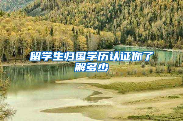 留学生归国学历认证你了解多少