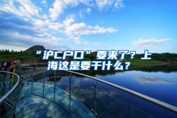 “沪C户口”要来了？上海这是要干什么？