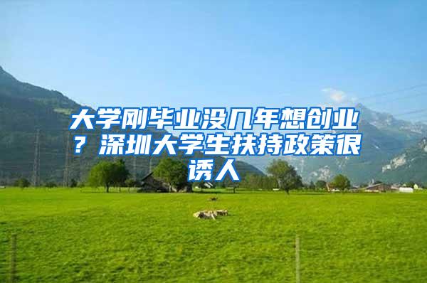 大学刚毕业没几年想创业？深圳大学生扶持政策很诱人