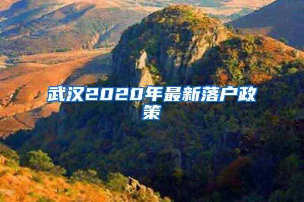武汉2020年最新落户政策