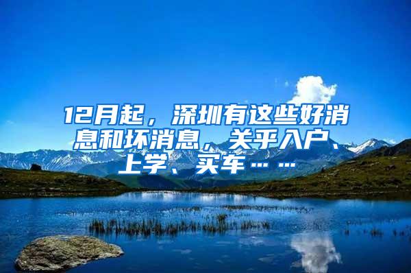 12月起，深圳有这些好消息和坏消息，关乎入户、上学、买车……