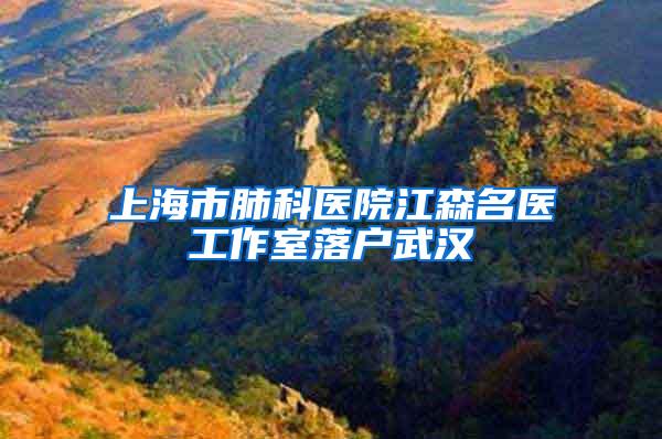 上海市肺科医院江森名医工作室落户武汉