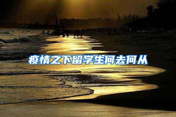 疫情之下留学生何去何从