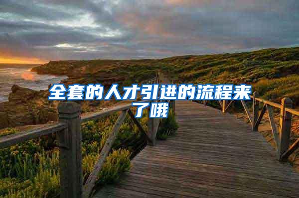 全套的人才引进的流程来了哦