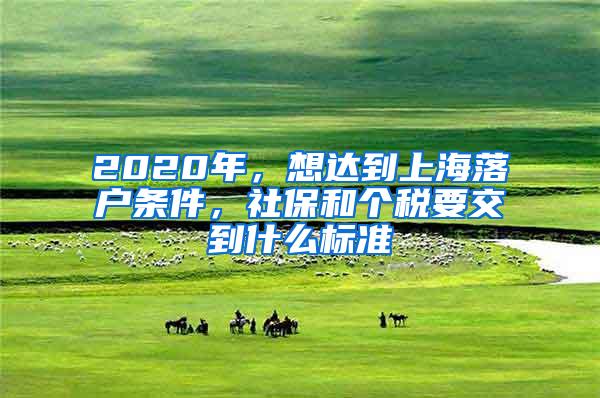 2020年，想达到上海落户条件，社保和个税要交到什么标准
