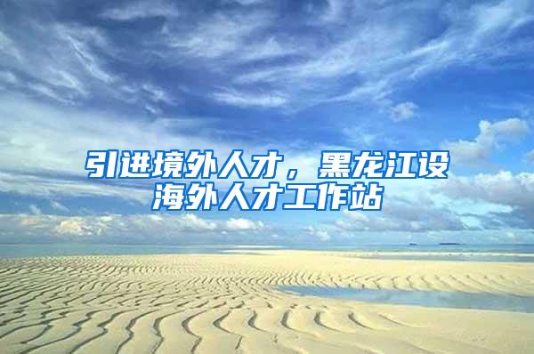 引进境外人才，黑龙江设海外人才工作站