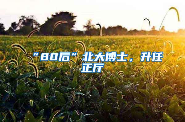 “80后”北大博士，升任正厅