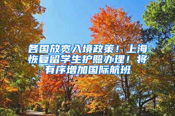 各国放宽入境政策！上海恢复留学生护照办理！将有序增加国际航班