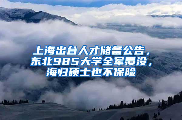 上海出台人才储备公告，东北985大学全军覆没，海归硕士也不保险