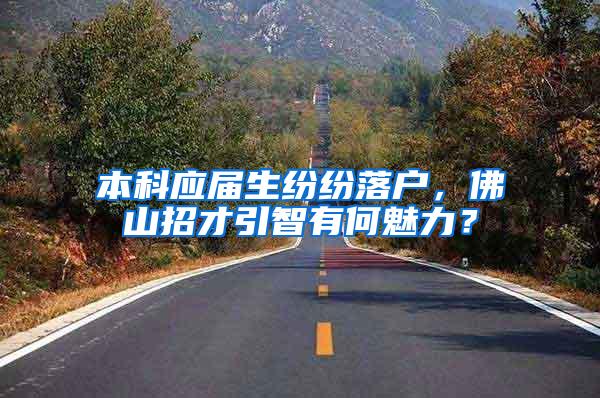 本科应届生纷纷落户，佛山招才引智有何魅力？