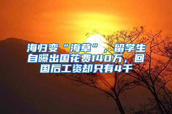海归变“海草”，留学生自曝出国花费140万，回国后工资却只有4千